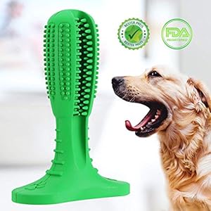 dog toothbrush stick