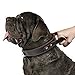PET ARTIST Genuine Leather Dog Collar Walking & Training Heavy Duty Dog Collar Handle Medium & Large Dogs Neck for 16-20.5''(1.1