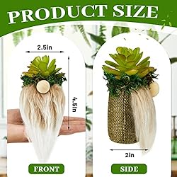 4 Pcs Mini Succulent Gnomes Swedish Plush Tiered