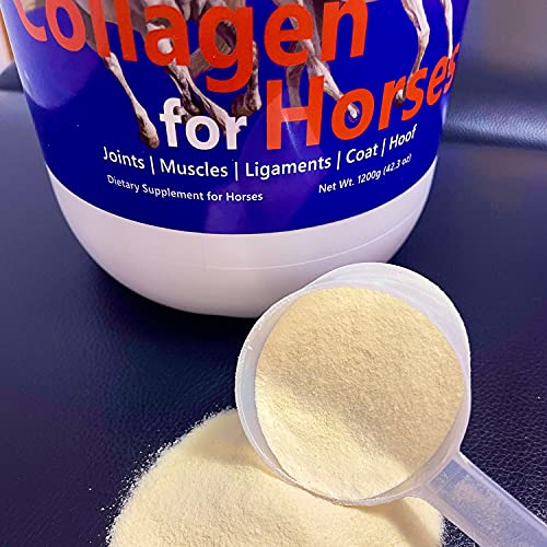 Dr. Willen’s Horse Supplement with Collagen and Amino Acids Horse