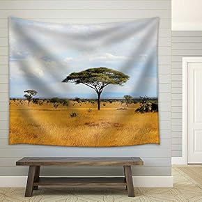 African Savanna Landscape in Kenya - Fabric Wall Tapestry Home Decor - 51x60 inches