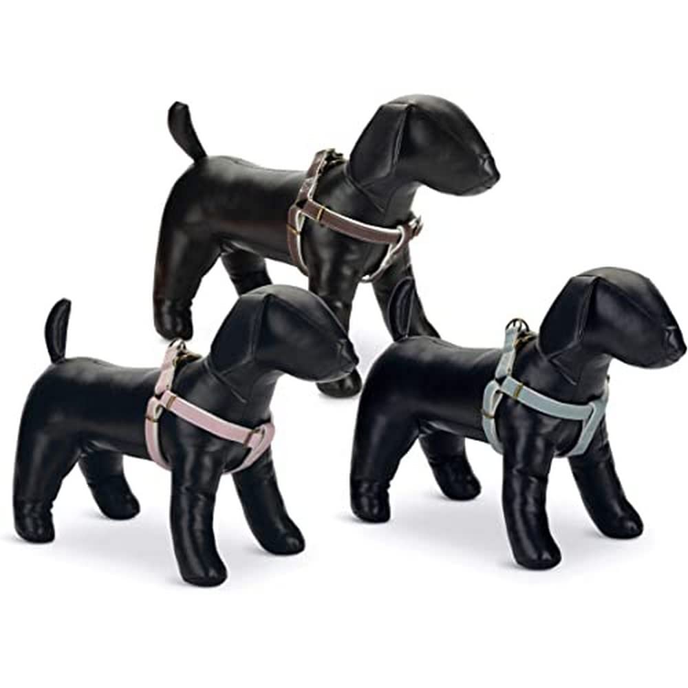 Other Designed By Lotte Nylon Harness Virante Mint 20mm X46-75cm