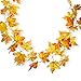 Anpro 30 LED 11.2 Ft Fall Decorations Lights - Thanksgiving Decor Fall Garland Leaves Fall Lights String, Autumn Garland - Battery Powered,Warm White
