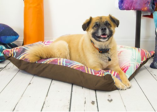 KESS InHouse Evgenia "Kiwifruit" Orange Green Dog Bed, 30" x 40"