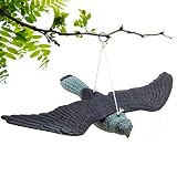 BRITENWAY Premium Bird Repellent Fake Flying Hawk Decoy Hanging Lifelike Predator Scarecrow Diverter with Wings for Easier Storage - for Birds, Mice, Squirrels, Rabbits & Other Birds Or Rodents