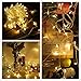 72 FT 200 LED Fairy Lights, Plug in String Lights 8 Modes Twinkle Starry Light Waterproof Indoor Firefly String Light for Tree Wedding Party Bedroom (Warm White)