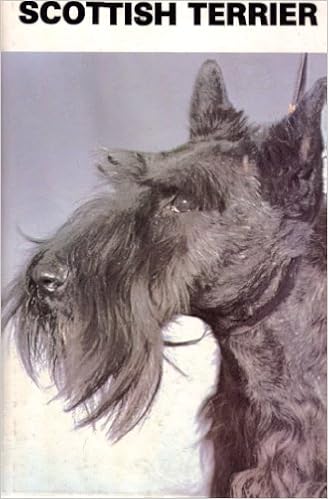 Scottish Terrier �n�[�h�J�o�[ - 1982/10/1
