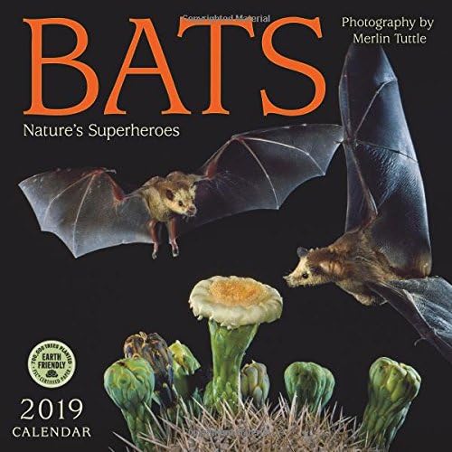 Bats 2019 Wall Calendar: Nature's Superheroes