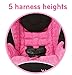 Disney Baby Minnie Mouse APT 40 Convertible Car Seat (Mouseketeer)