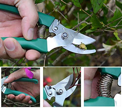 xderlin Garden Tools Set,12 Piece Gardening Gifts Stainless Stee Garden Tool Set with Storage case -Garden Gifts for Men & Women(12 Pieces-Green)