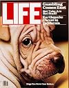 Life Magazine - January 1979