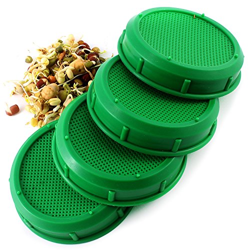 Buy Sprouting Jar Strainer Lid (4Pack) Fits Wide Mouth Jars For