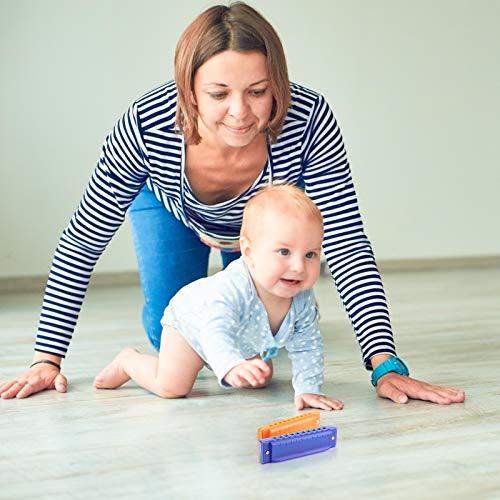 AMOR PRESENT Kids Harmonica, 2 PCS Translucent Harmonica with Case 10 Holes Diatonic Bules Children Harmonica