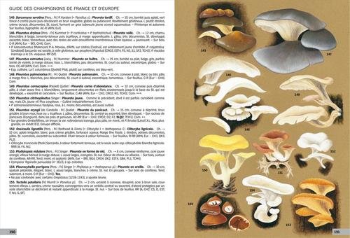 Amazonfr Guide Des Champignons De France Et Deurope - 