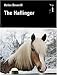 The Haflinger (Allen Breed) by Helen Deverill
