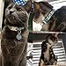 WAAAG Pet Supplies, (Cactus and Succulents) Cat Collar, Dog Collar, Small Dog Collar, Medium Dog Collar, Large Dog Collar (Blue Cactus Collar, XXS)