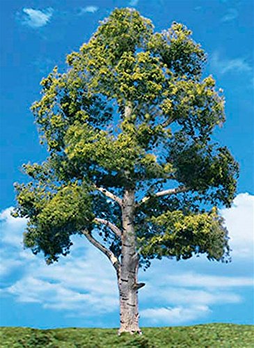 Classics Tree, Waters Edge 7-8" (2)