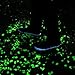 Opps 100 Pcs Glow in the Dark Garden Pebbles for Walkways and Decor in Green