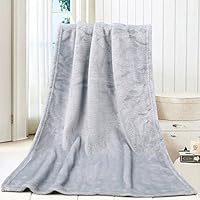 Premium Fashion Summer Solid Soft Throw Fleece Kids Blanket Warm Coral Plaid Beach Blankets For Couch Flannel 45 * 65CM (45 * 65cm, Gray)