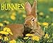 Bunnies 2013 Wall Calendar (Just (Willow Creek)) by 