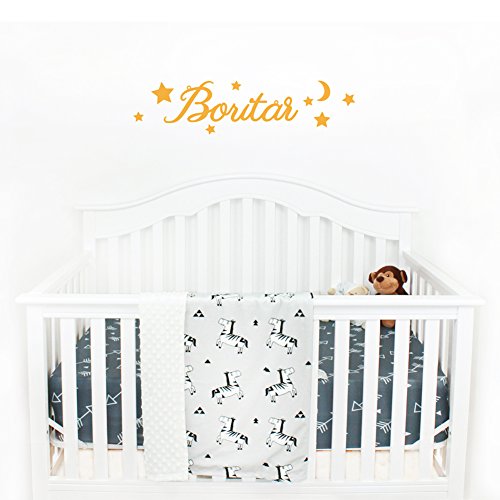 Boritar Baby Receiving Blanket Super Soft Minky with Double Layer Dotted Backing, Lovely Zebra Printed 30"x40"