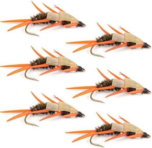 The Fly Fishing Place Double Bead Peacock Stonefly Nymph with Amber Biot Legs Fly Fishing Flies - Trout and Bass Wet Fly Pattern - 6 Flies Hook Size 6