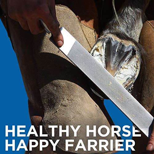 Formula 707 Hoof Health Equine Supplement, 2.5lb Jar Biotin, Amino acids, and Minerals to