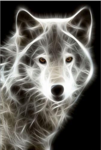 Startonight Wall Art Canvas White Wolf, Animals USA Design for Home Decor, Dual View Surprise Artwork Modern Framed Ready to Hang Wall Art 23.62 X 35.43 Inch 100% Original Art Painting