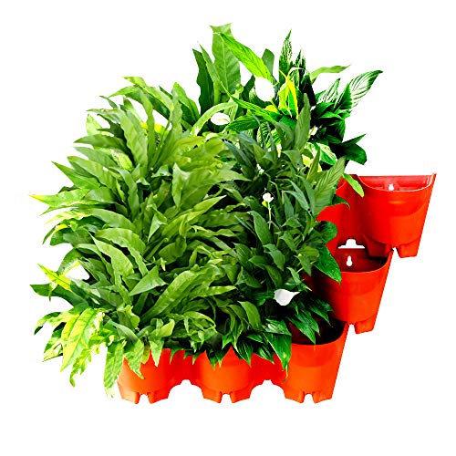 Homes Garden Self-Watering Vertical Garden Planter Living Wall Indoor Outdoor Terracotta 3 Pack (9 Pockets) #G-V101D04-US