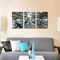 FlyWallD Painting Nature Forest Trees Canvas Modern Wall Art Decor Print Large Wall Home Improvement Preferred Set of 3 Panel