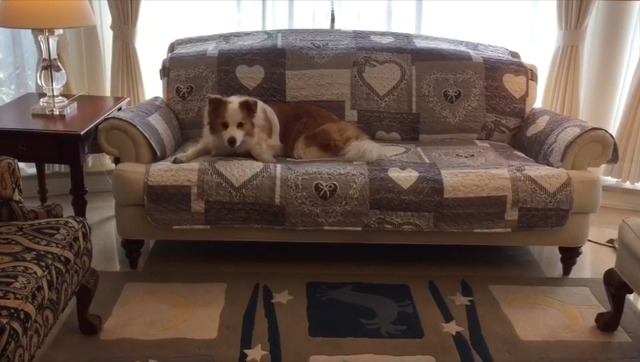 6 Brilliant+Sunshine+Patchwork+Cushion+Embroidery