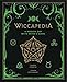 Wiccapedia: A Modern-Day White Witch's Guide (The Modern-Day Witch) by Shawn Robbins, Leanna Greenaway