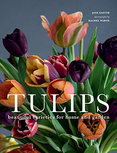 The Tulip: Pavord, Anna, Well-illustrated: 9780747546214: Amazon