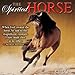 The Spirited Horse 2015 Wall Calendar
