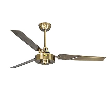 Ds 42 Inch Iron Leaf Ceiling Fan Modern Simple Large Wind Fan