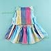 Fitwarm® Adorable Rainbow Ribbon Dog Dress Dog Shirt Dog Clothes Pet Dress, Medium