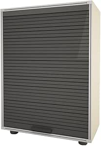 Armario Modulo Persiana Gris 62,5X91X35 : Amazon.es ...