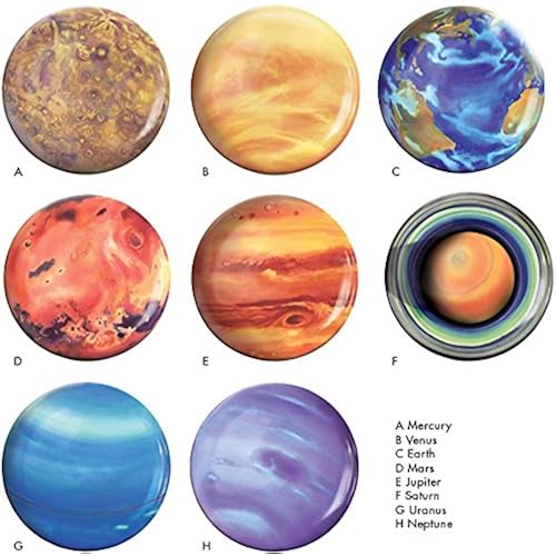 Home & Kitchen, Kitchen & Dining, Dining & Entertaining, Plates, Dinner Plates