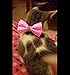 BINGPET BA3041 Soft Personalized Rhinestone Bow Tie Adjustable Cat Breakaway Collar With Bell , Pink
