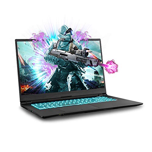 Sager NP8770N2 Thin, FHD 144Hz Gaming Laptop
