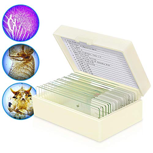 Microscope Slides, 10pc Biology Science Prepared Slides and 5pc Blank Ground Edge Slides with Storage Case - Thumbnail 7