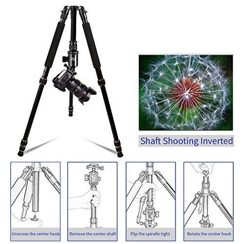 MACTREM Lightweight 66-inch Camera Tripod Detachable Monopod, 360 Degree Ball Head, 1/4 Quick Release Plate with Carrying Tripod Bag for Canon Sony Nikon DSLR Cameras- 33lbs(15kg) Load
