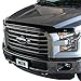 Wade 72-96154 Smoke Platinum Bug Shield, 10 Inch