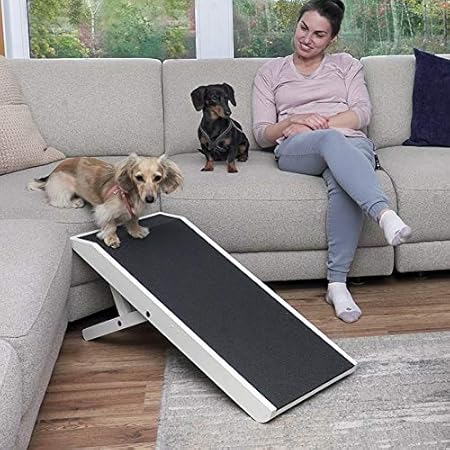 mini couch for dogs