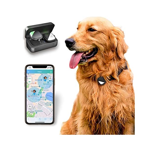iphone pet tracker