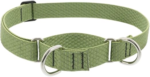 lupine dog collars amazon