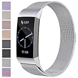 Maledan Metal Replacement Bands Compatible for Fitbit Charge 3 and Charge 3 SE, Milanese Loop Accessories Stainless Steel Mesh Magnetic Band with Unique Magnet Lock for Charge 3, Silver, Small