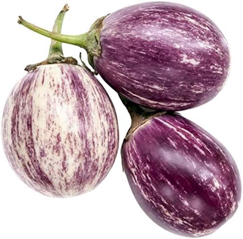 Amazon.com : MABES WAREHOUSE Thai Purple Mini Round Eggplant 30 Seeds