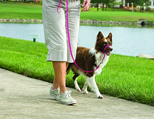 PetSafe Gentle Leader Head Collar Medium, Raspberry Pink - Image 4