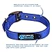 Max and Neo MAX Reflective Metal Buckle Dog Collar - We Donate a Collar to a Dog Rescue for Every Collar Sold (Small, Blue)